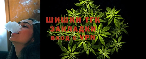 гидра Кодинск