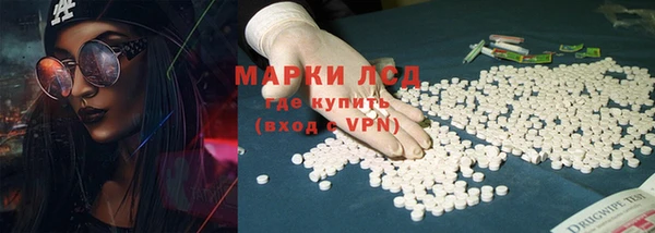 сатива Козельск
