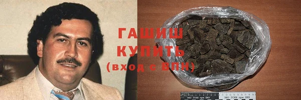 гидра Кодинск