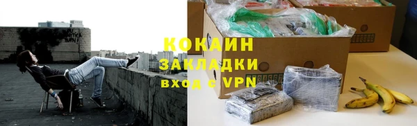 сатива Козельск