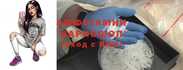 гидра Кодинск