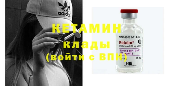 гидра Кодинск