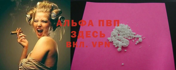 сатива Козельск