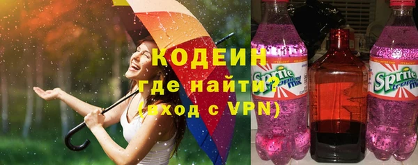 гидра Кодинск