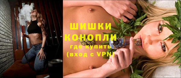 гидра Кодинск