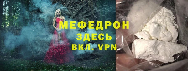 гидра Кодинск