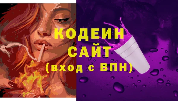 сатива Козельск