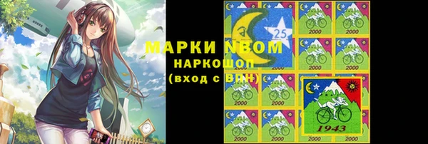 гидра Кодинск