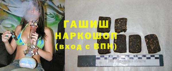 сатива Козельск