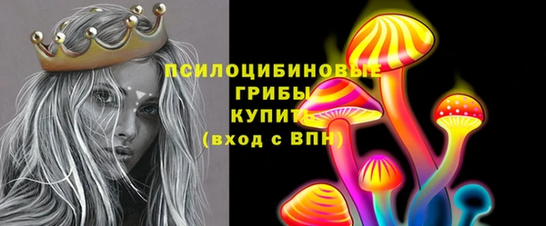 амфетамин Козловка